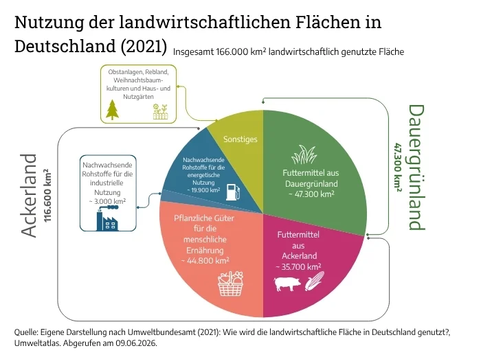 Nutzung der landwirtschaftlichen Flächen in Deutschland