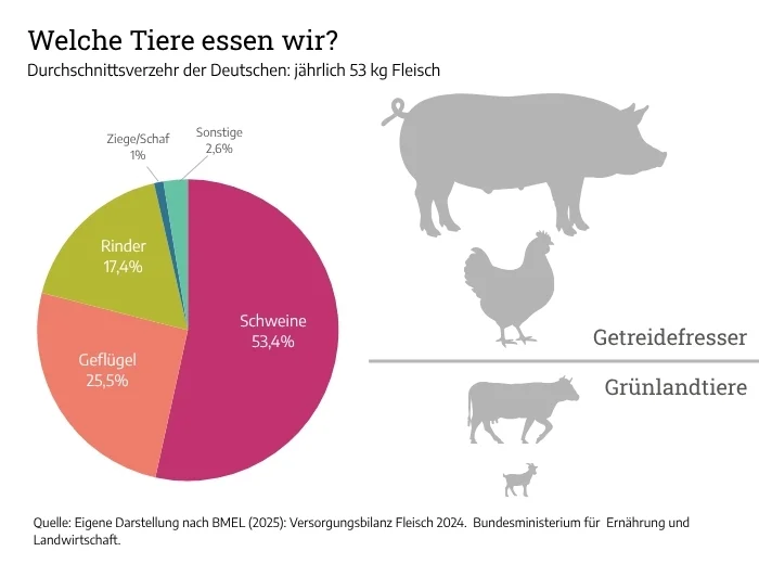 Grafik: Welche Tiere werden in Deutschland gegessen?