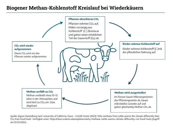Methankreislauf als schematische Darstellung