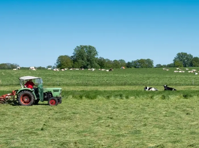 Weide im Hintergrund, Landwirt beim Gras mähen im Vordergrund